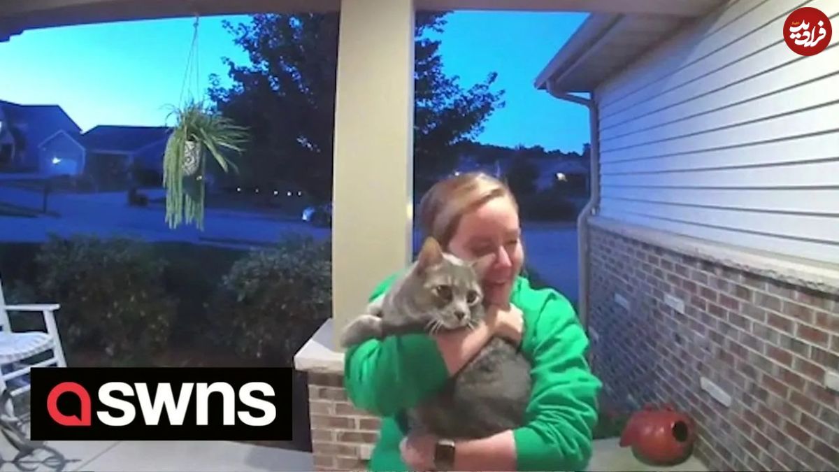 (ویدئو) واکنش احساسی دختر جوان به بازگشت گربه گمشده اش به خانه