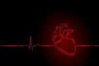 کوچک‌ترین قلب انسان روی یک تراشه تپیدن گرفت