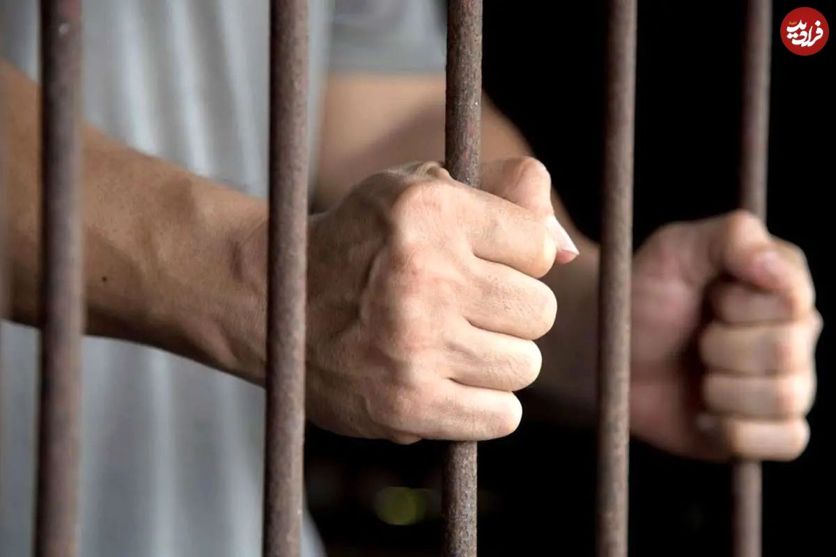 جزئیات بازداشت پژمان جمشیدی از زبان مدیرعامل خبرگزاری قوه قضائیه