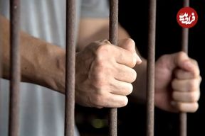 جزئیات بازداشت پژمان جمشیدی از زبان مدیرعامل خبرگزاری قوه قضائیه