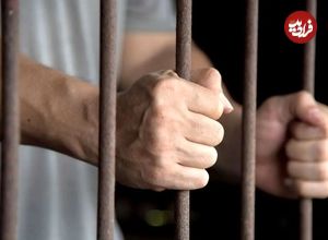 جزئیات بازداشت پژمان جمشیدی از زبان مدیرعامل خبرگزاری قوه قضائیه