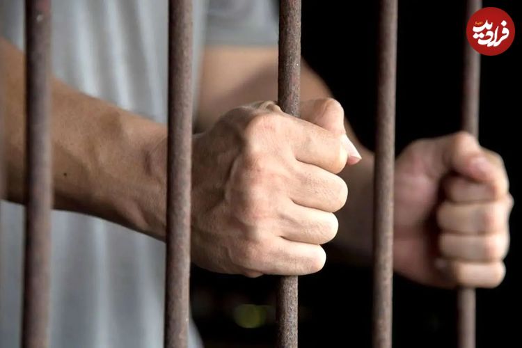 جزئیات بازداشت پژمان جمشیدی از زبان مدیرعامل خبرگزاری قوه قضائیه