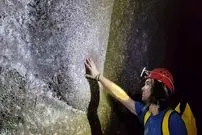 ببینید| کشف بزرگترین کلونی عنکبوت‌ها با بیش از ۱۱۱ هزار تار