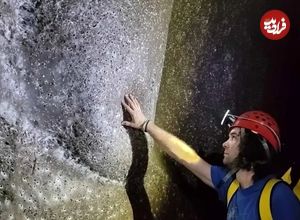 ببینید| کشف بزرگترین کلونی عنکبوت‌ها با بیش از ۱۱۱ هزار تار