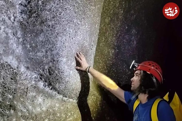 ببینید| کشف بزرگترین کلونی عنکبوت‌ها با بیش از ۱۱۱ هزار تار