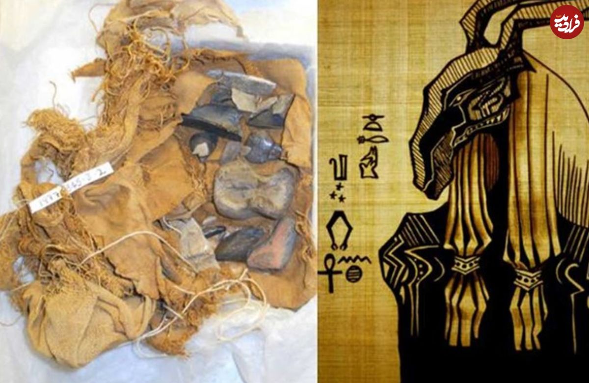 (تصاویر) کشفِ استخوان‌های یکی از خدایان مهم مصر باستان!