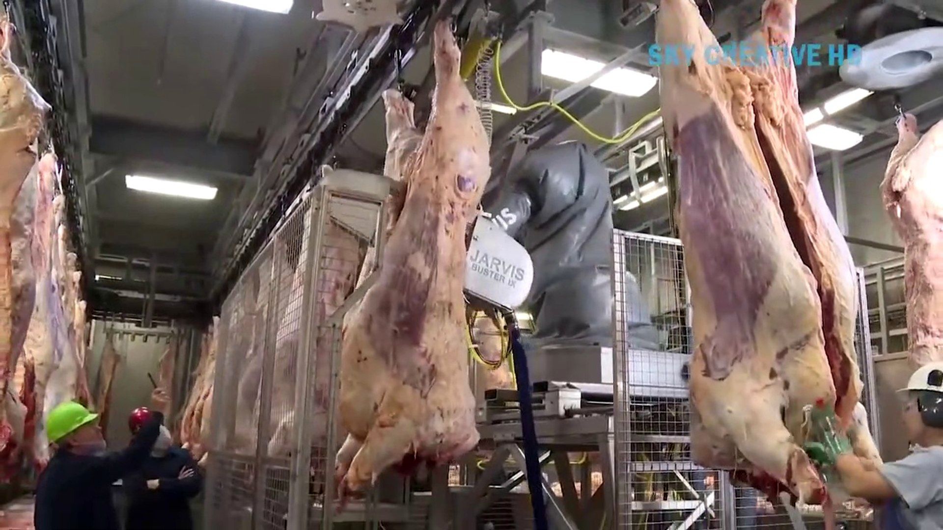 (ویدئو) فرآیند تماشایی برش و بسته بندی گوشت گاوهای بزرگ در یک کارخانه مدرن