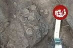 کشف گنج بزرگ سکّه‌های وایکینگ‌ها که در «پوست درخت» دفن شده بود