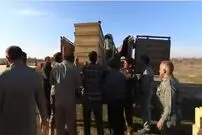 (ویدئو) بازگشت گوزن‌های زرد ایرانی به زیستگاه اصلی خود 