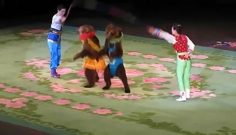 (ویدیو) حرکات عجیب خرس‌های سیرک کره شمالی