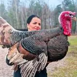 ببینید| غذای روستایی در بلاروس؛ پخت بوقلمون کامل در تنور و در روستایی جنگلی