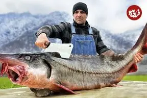 ببینید| غذای روستایی در آذربایجان؛ کباب ماهی بلوگا غول بزرگ روی آتش