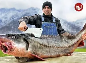ببینید| غذای روستایی در آذربایجان؛ کباب ماهی بلوگا غول بزرگ روی آتش