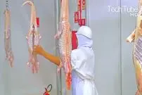 (ویدئو) مراحل شگفت انگیز پرورش کروکودیل؛ کارخانه فرآوری گوشت تمساح