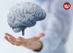 ۳ عامل کلیدی که از مغز شما محافظت می‌کنند