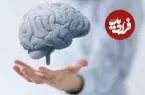 ۳ عامل کلیدی که از مغز شما محافظت می‌کنند