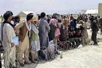 جدیدترین آمار از تعداد افغان‌های طردشده