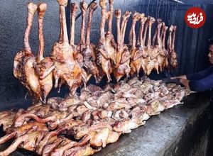 ببینید| غذای خیابانی در مالزی؛ فرآیند پخت اردک دودی، مرغ و کاری گوشت گاو در کوالالامپور