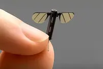 ببینید؛ چین از پهپاد هم‌اندازه پشه رونمایی کرد