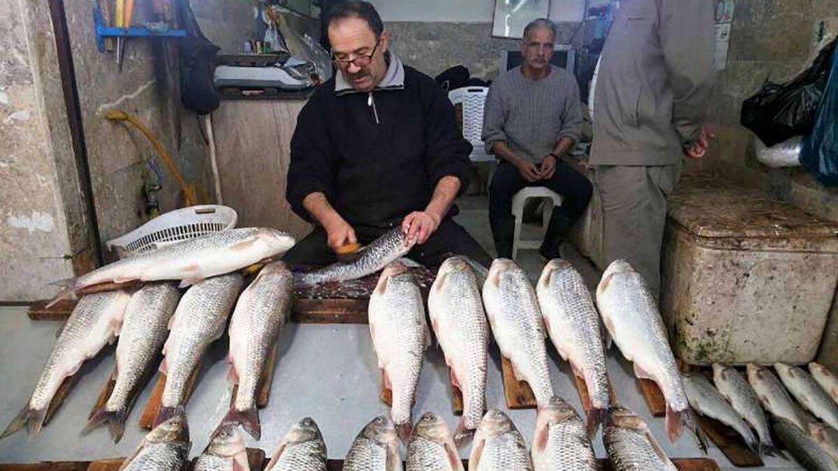 (ویدئو) ماجرای فروش ماهی ۵۱ میلیون تومانی در بازار فریدونکنار