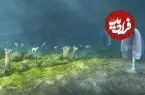 حیوانات زودتر از آنچه تصور می‌شد تکامل یافته‌اند!