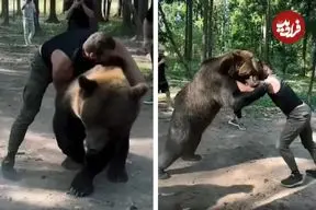 ببینید| کشتی بوکسور سنگین‌وزن روس با خرس ۴۰۰ کیلویی قبل از مبارزه با تایسون فیوری