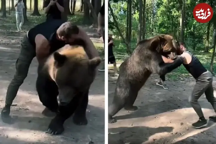 ببینید| کشتی بوکسور سنگین‌وزن روس با خرس ۴۰۰ کیلویی قبل از مبارزه با تایسون فیوری