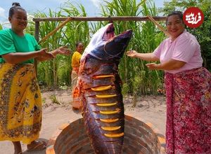 ببینید| غذای روستای در سنگاپور؛ کباب کردن ماهی در تنور زیر زمینی