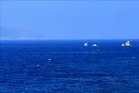 ۱۴ کشته در سانحه دریایی در  ترکیه