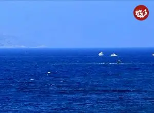 ۱۴ کشته در سانحه دریایی در  ترکیه