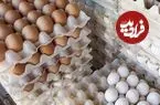 رکوردشکنی نجومی قیمت تخم‌مرغ؛ یک شانه از نیم‌میلیون تومان عبور کرد!