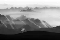 تصاویر؛ شاهکارهایی که زیبایی شگفت‌انگیز «عکس سیاه و سفید» را به رخ می‌کشند