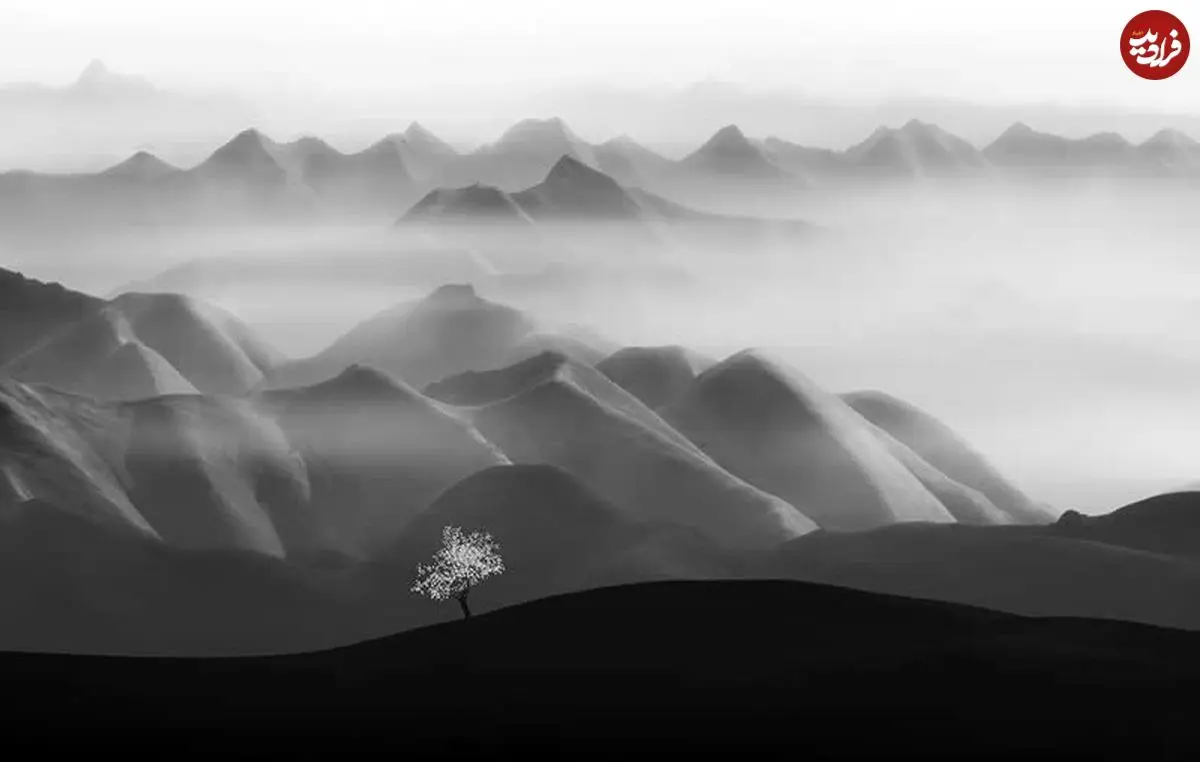 تصاویر؛ شاهکارهایی که زیبایی شگفت‌انگیز «عکس سیاه و سفید» را به رخ می‌کشند