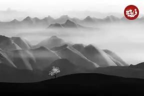 تصاویر؛ شاهکارهایی که زیبایی شگفت‌انگیز «عکس سیاه و سفید» را به رخ می‌کشند