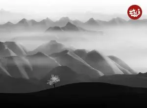 تصاویر؛ شاهکارهایی که زیبایی شگفت‌انگیز «عکس سیاه و سفید» را به رخ می‌کشند