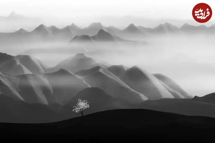 تصاویر؛ شاهکارهایی که زیبایی شگفت‌انگیز «عکس سیاه و سفید» را به رخ می‌کشند