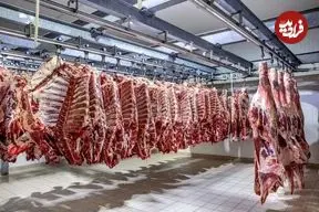 گوشت قرمز ارزان شد