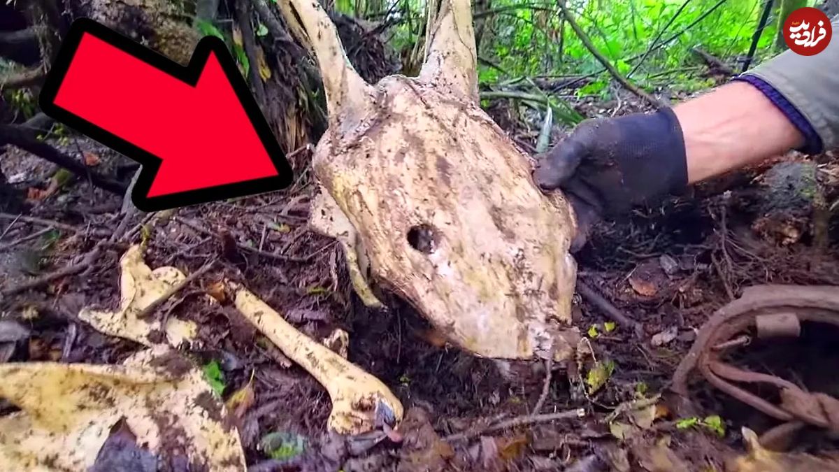 (ویدئو) لحظه کشف 5 چیز عجیب و غریب که شکارچی برزیلی در جنگل کشف کرد