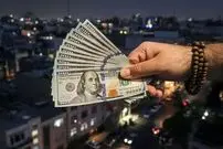 جدول| قیمت دلار امروز شنبه ۱۸ بهمن ۱۴۰۴