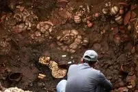 گنج «کوزه‌ها و طلاها» از مقبرۀ هزارساله بیرون آمد