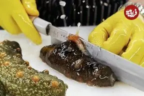 ببینید| غذای خیابانی در کره؛ تهیه غذاهای خاص با خیار دریایی در بوسان