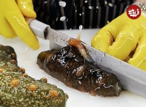 ببینید| غذای خیابانی در کره؛ تهیه غذاهای خاص با خیار دریایی در بوسان