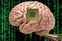 آیا واقعا می‌توان ذهن انسان را در رایانه ریخت؟