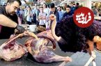 ببینید؛ غذای خیابانی در ازبکستان؛ پخت سمرقندپلو با گوشت شترمرغ در تاشکند