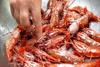 ببینید| غذای خیابانی در آمریکا؛ پخت غذا با میگو و شیر تازه در نیویورک