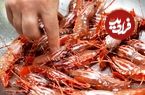 ببینید| غذای خیابانی در آمریکا؛ پخت غذا با میگو و شیر تازه در نیویورک