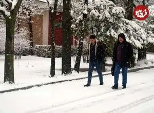 تصاویر| برف، اردبیل را سفید پوش کرد