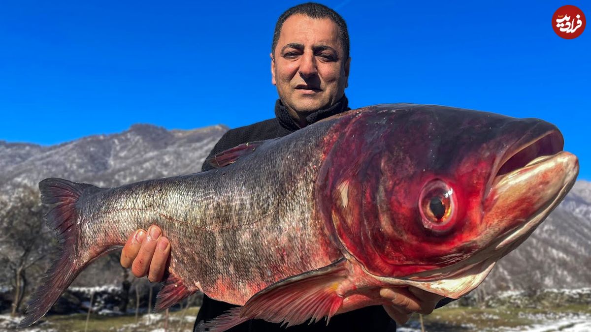 ببینید| غذای روستایی در آذربایجان؛ پخت غذای سنتی با یک ماهی 5 کیلوگرمی