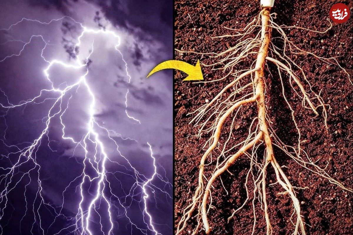 تصاویر؛ الگوهای باورنکردنی در طبیعت؛ از سحابی هلیکس تا چشم انسان!