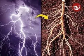 تصاویر؛ الگوهای باورنکردنی در طبیعت؛ از سحابی هلیکس تا چشم انسان!